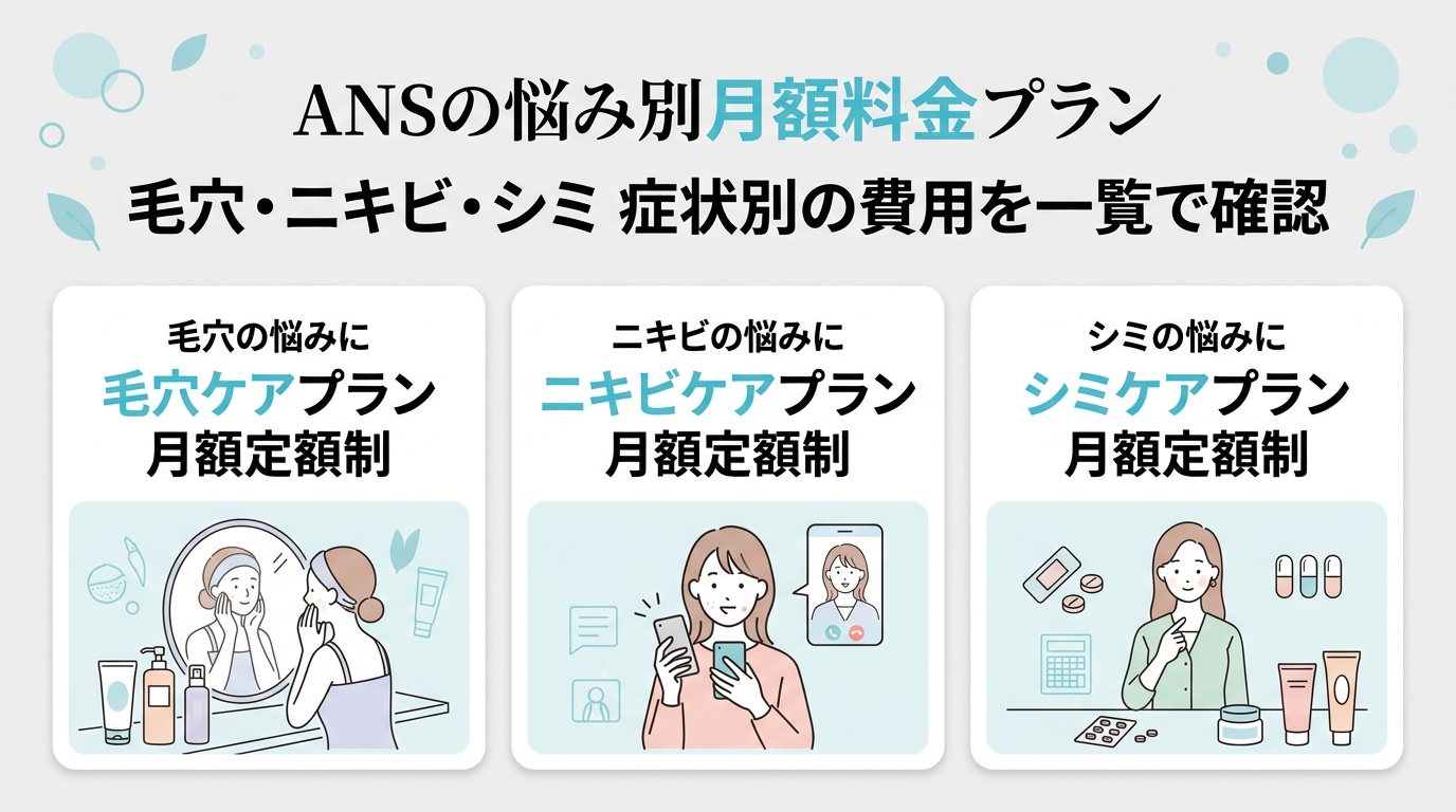 ANSの料金プランと費用の全体像