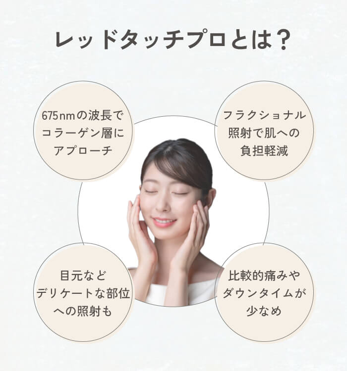 レッドタッチプロとは?