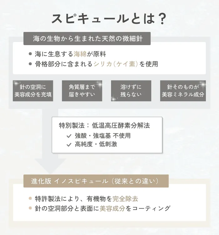 スピキュールとは海の生物から抽出された天然の微細針
